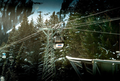 Overhead cable car over railroad tracks in forest