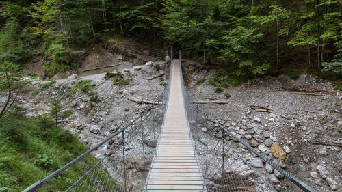 High angle view of footbridge in forest