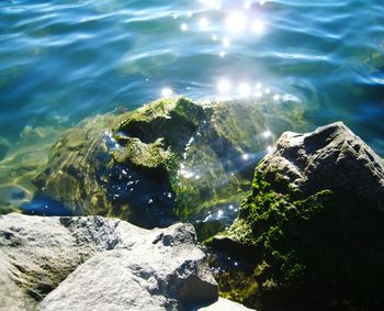 High angle view of rocks in sea