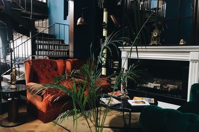 Potted plants on table by window