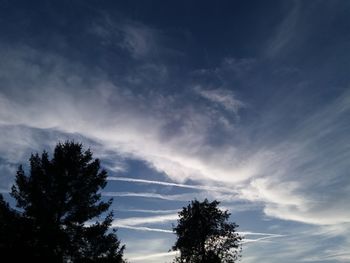 Low angle view of silhouette trees against sky