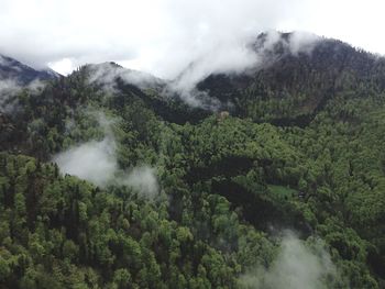 Scenic view of mountains
