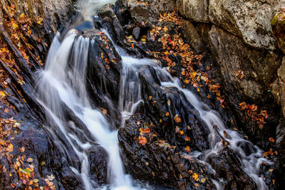 Autumn little waterfalls with and wet stones leaves around