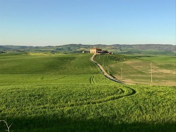 Scenic view of agricultural field against clear sky