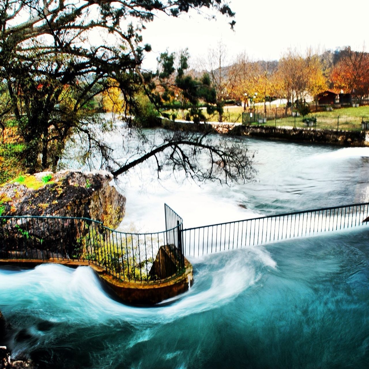 water, tree, built structure, architecture, river, waterfront, bridge - man made structure, building exterior, connection, nature, beauty in nature, flowing water, rippled, scenics, tranquility, railing, canal, lake, park - man made space, day