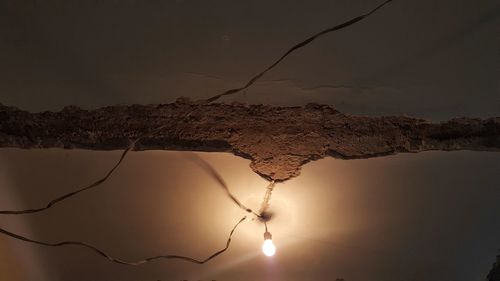 Close-up of tree against sky during sunset