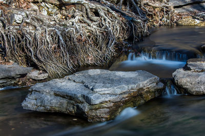 nature