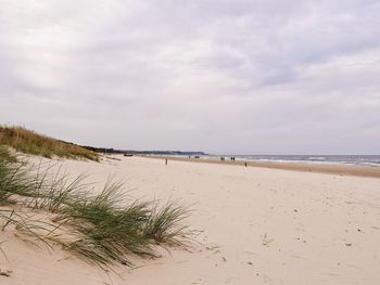 Scenic view of beach against cloudy sky