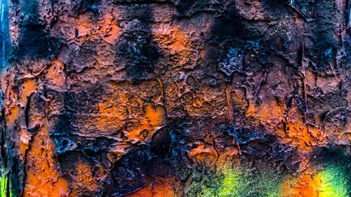 Full frame shot of tree trunk