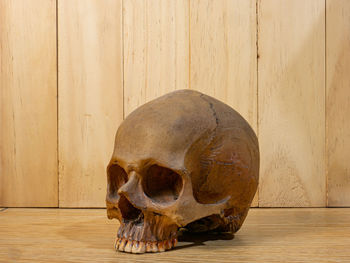 Close-up of human skull on old wall