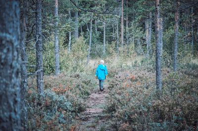 Rear view of woman walking on footpath amidst trees in forest