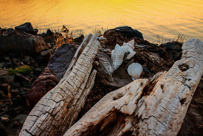 Close-up of rocks in sea