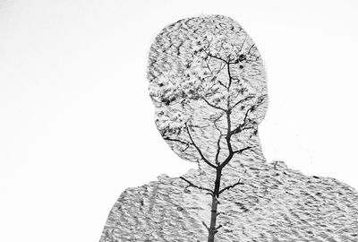 Close-up of bare tree against white background