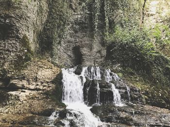 Scenic view of waterfall in forest