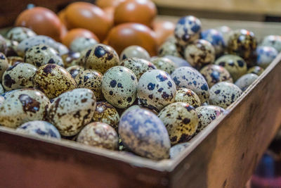 Close-up of quail eggs in container for sale