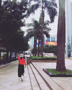 Rear view of woman walking by palm trees in city