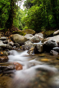 Close-up of waterfall in forest