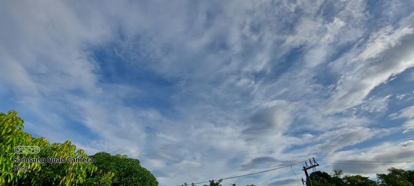 Low angle view of trees against sky