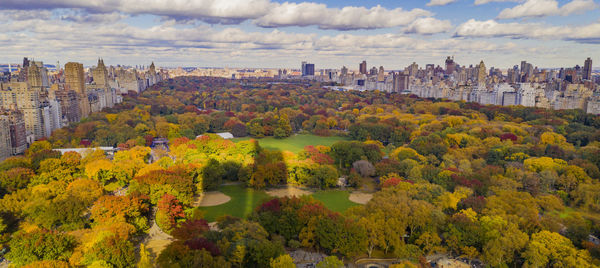 Panoramic view of trees and buildings against sky