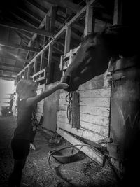 Side view of woman standing in stable
