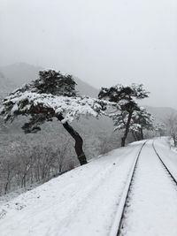 Snow covered road by trees against sky