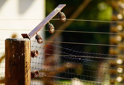 Close-up of wire on metal fence