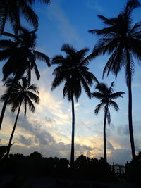 Silhouette palm trees against sky during sunset