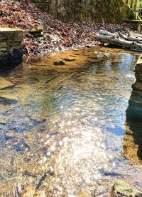 Scenic view of river flowing through rocks