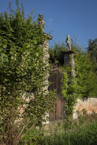 Trees and plants growing by building against sky