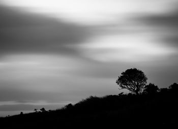 Silhouette trees on field against sky