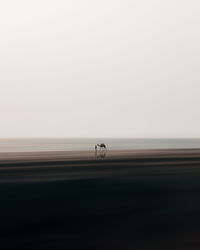 Airplane wing against sky
