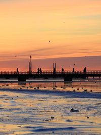 Silhouette of people at beach during sunset