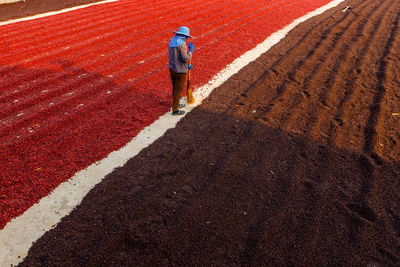 Rear view of man working on field