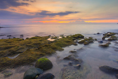 Scenic view of sea against sky during sunset