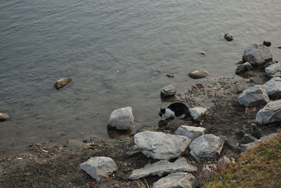 High angle view of beach