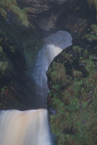 Scenic view of waterfall in forest