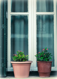 Potted plant on window sill of building