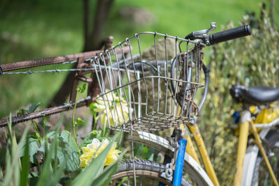 Close-up of bicycle with yellow flowers in basket