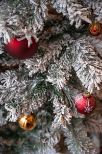 Close-up of christmas tree
