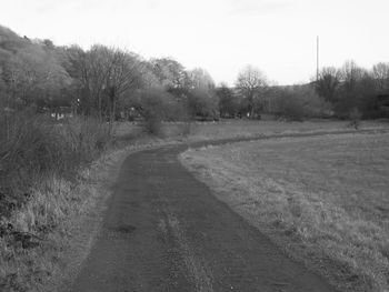 Dirt road passing through field
