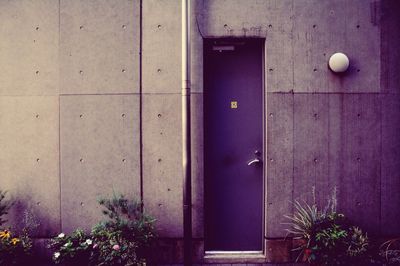 Closed door of building