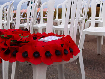 Close-up of red water