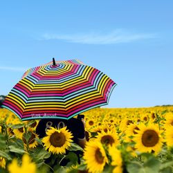 Multi colored sunflower in field against sky