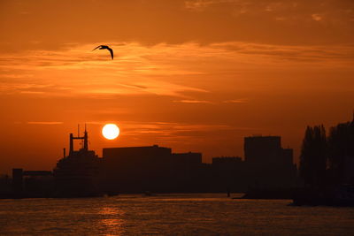 Silhouette bird by sea against orange sky