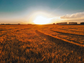 Scenic view of field against sky during sunset