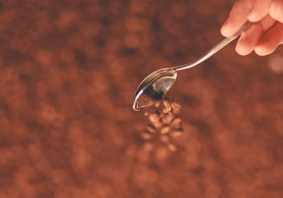 Close-up of hand holding ice cream