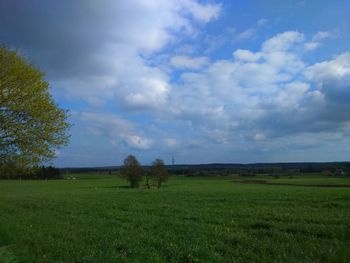 Scenic view of agricultural field against sky