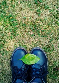 Low section of person wearing black shoes with leaf on field