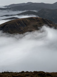 environment