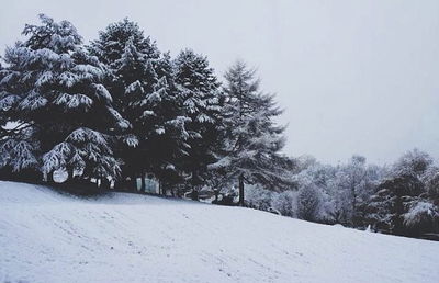 Scenic view of snow covered landscape